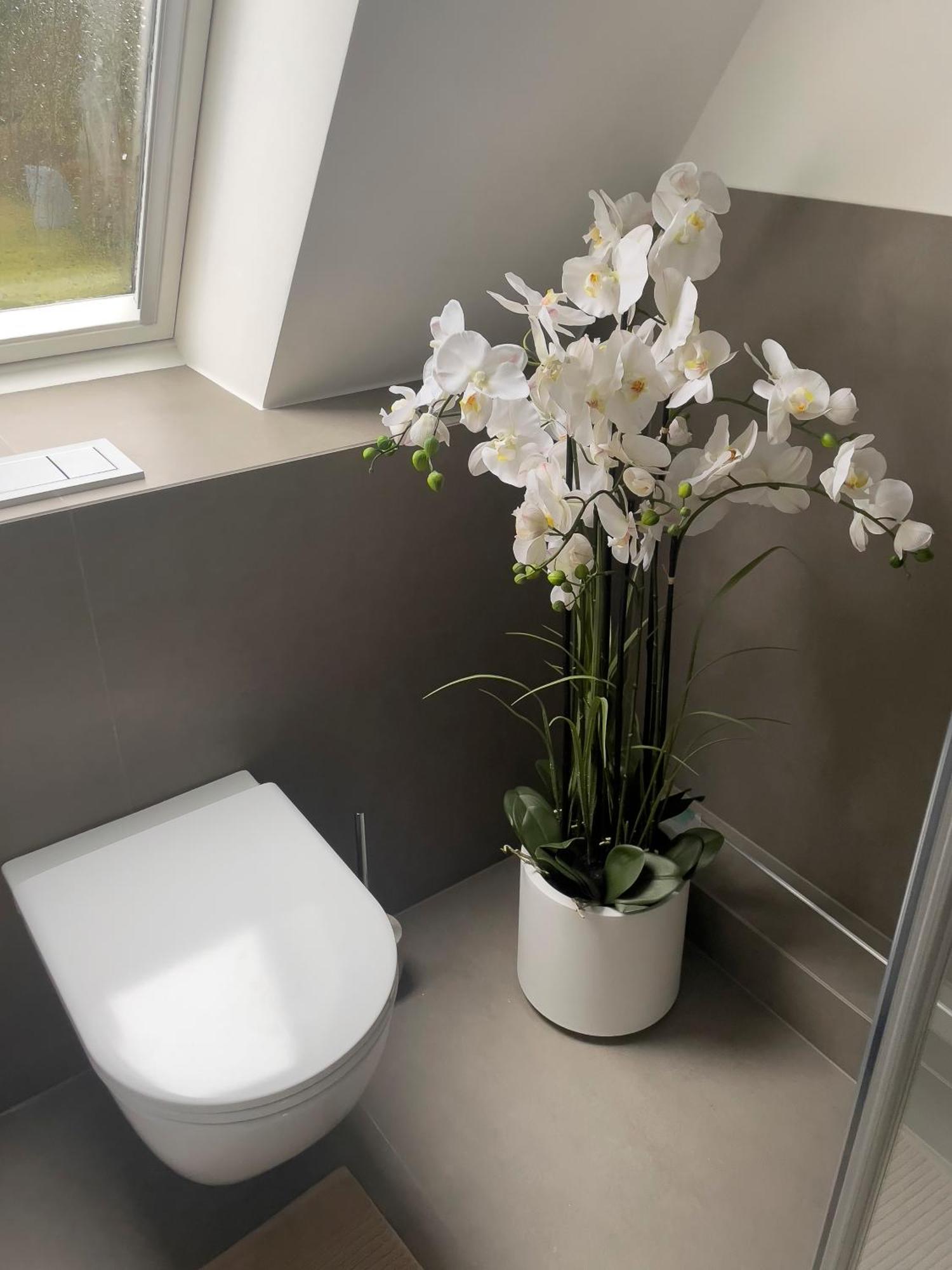 Apartment Travemuende Am *